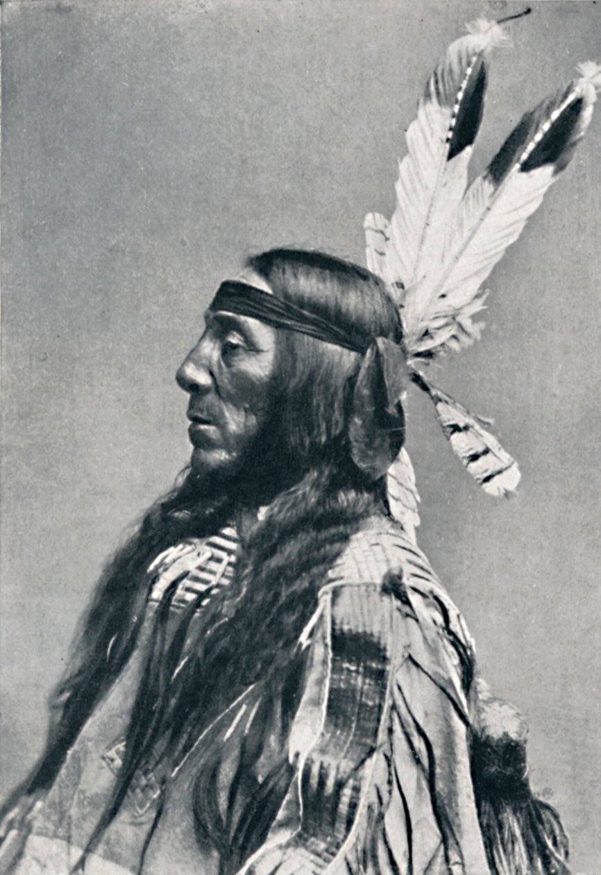 Egy sziú profilképe, 1912 alkotó: Robert Wilson Shufeldt