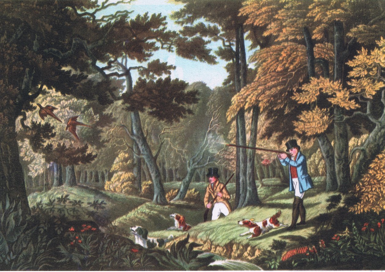 Fácánlövészet Uxbridge közelében, Nature in Britain, kiadó: Collins, 1946 alkotó: Robert the Elder Havell