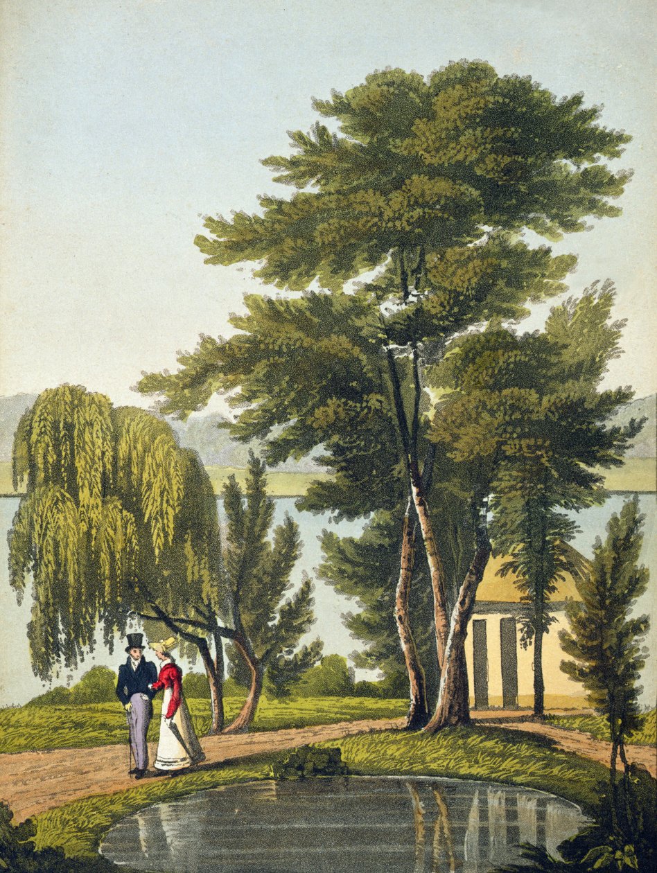 Clifton, a „The Naturama, or, Nature