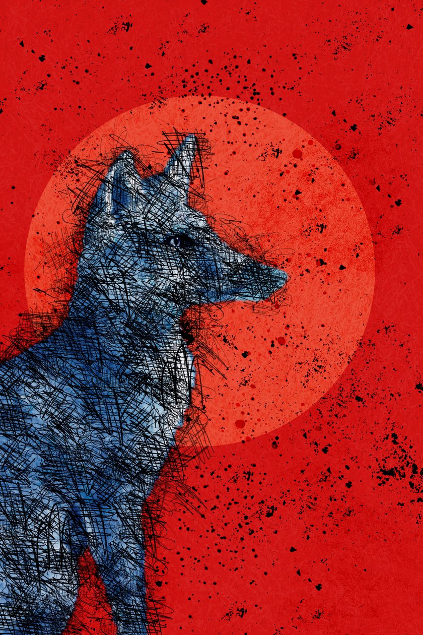 Blood Moon Fox, 2022 (digitális) alkotó: Roberta Murray