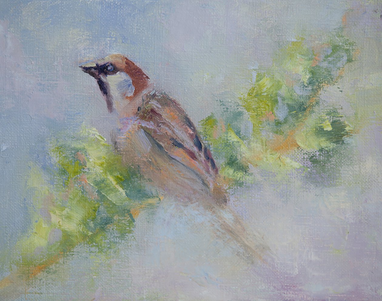 P. Domesticus, 2014 (olaj, vászon) alkotó: Roberta Murray