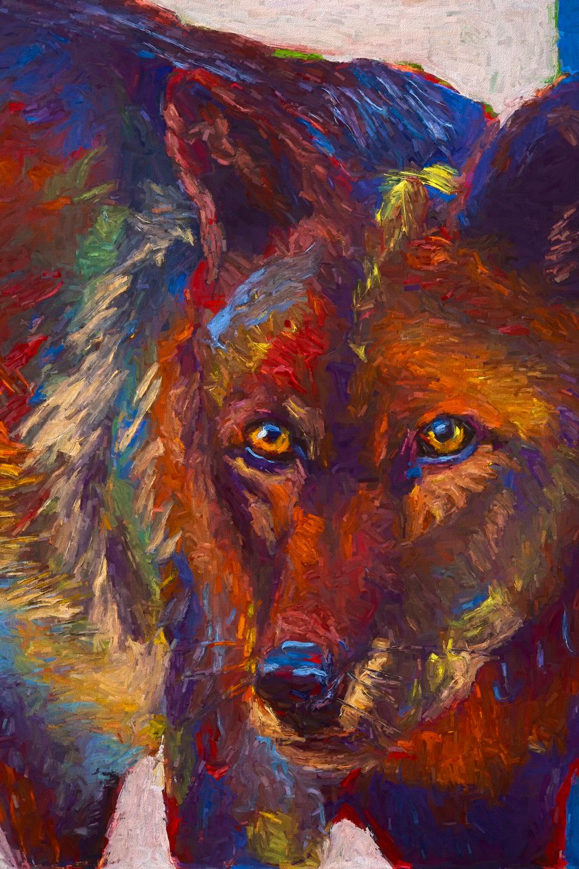 Stare Down, 2019 (olaj, panel) alkotó: Roberta Murray