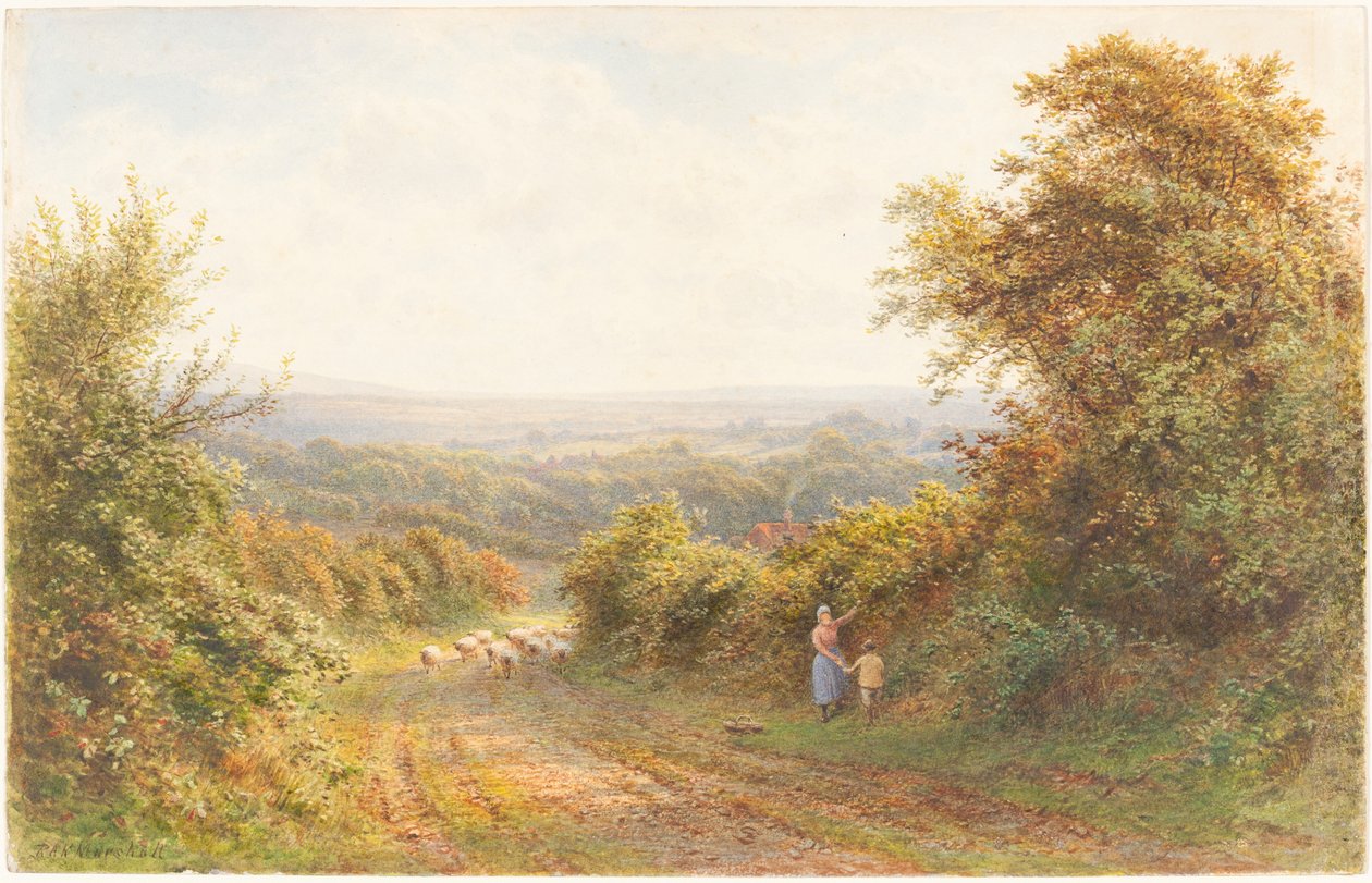 Squirrel Lane, Magham Down közelében, Sussexben alkotó: Roberto Angelo Kittermaster Marshall