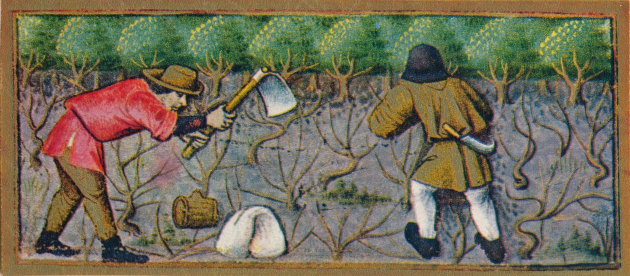 Március - szőlőben dolgozik, 15. század, 1939. alkotó: Robinet Testard