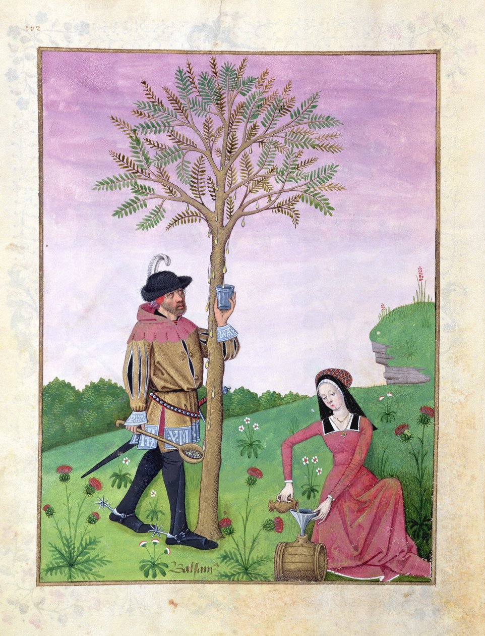 Ms Fr. Fv VI #1 fol.162v Nedvszívás egy fáról, Illusztráció Mattheaus Platearius „Egyszerű gyógyszerek könyvéből” (1161 körül) 1470 körül (vellum) alkotó: Robinet Testard
