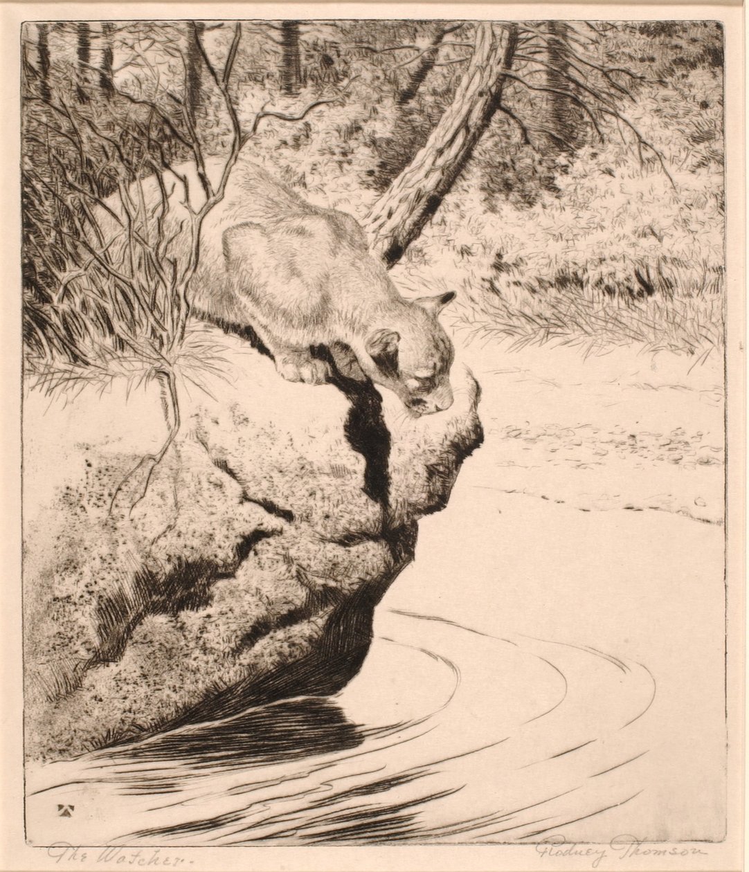 A Figyelő alkotó: Rodney Thomson
