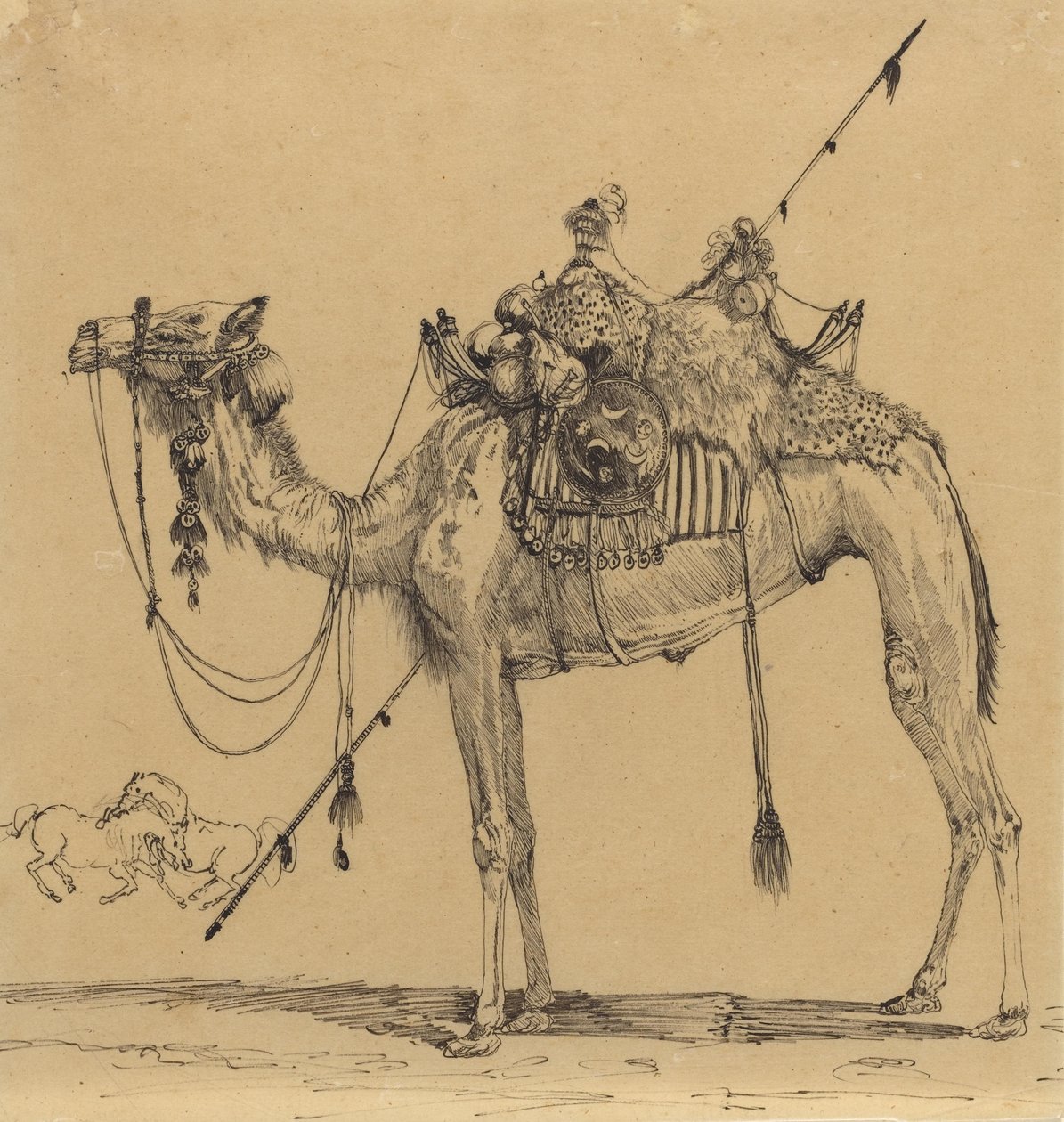 A teve (toll és tinta) alkotó: Rodolphe Bresdin