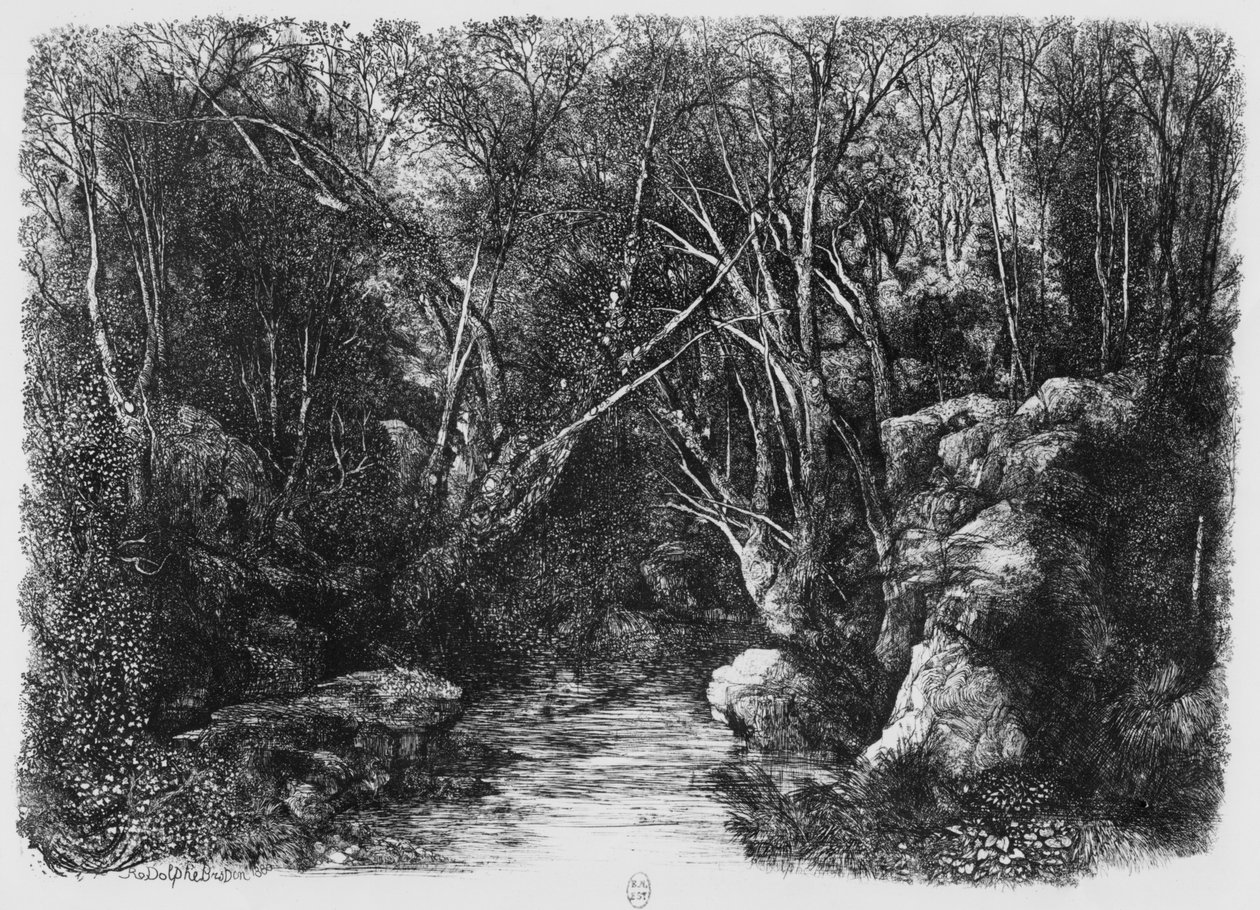 A patak a fákon át, 1880 alkotó: Rodolphe Bresdin