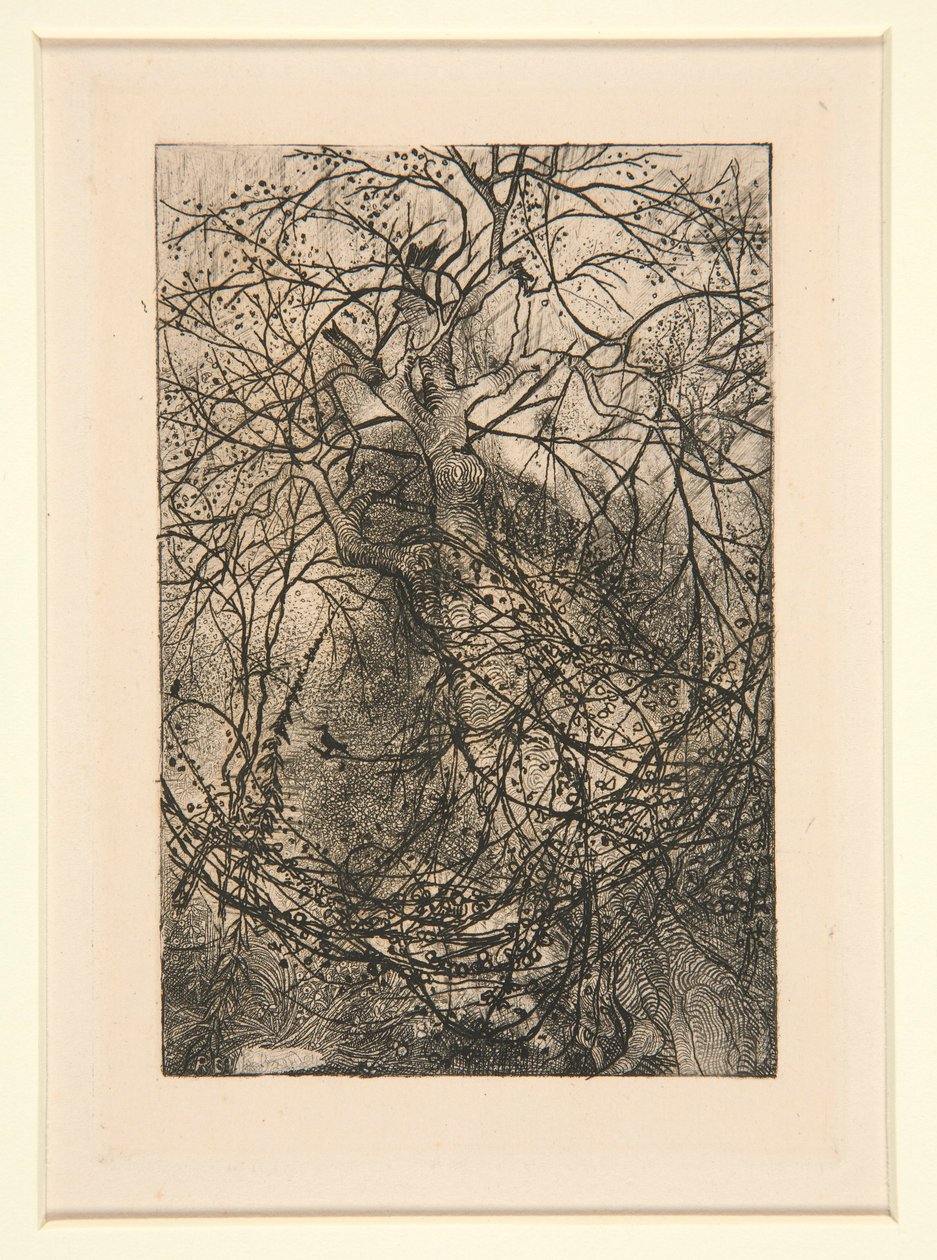 Ágak alkotó: Rodolphe Bresdin