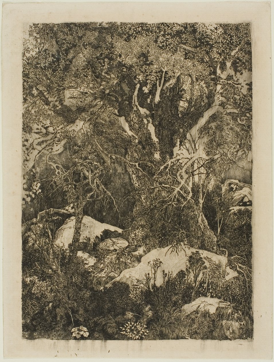 A fontainebleau-i erdő alkotó: Rodolphe Bresdin