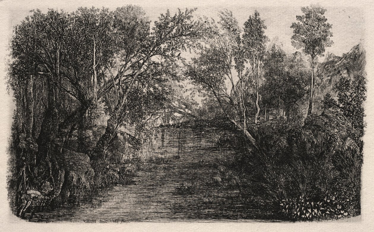 A patak, 1880. alkotó: Rodolphe Bresdin