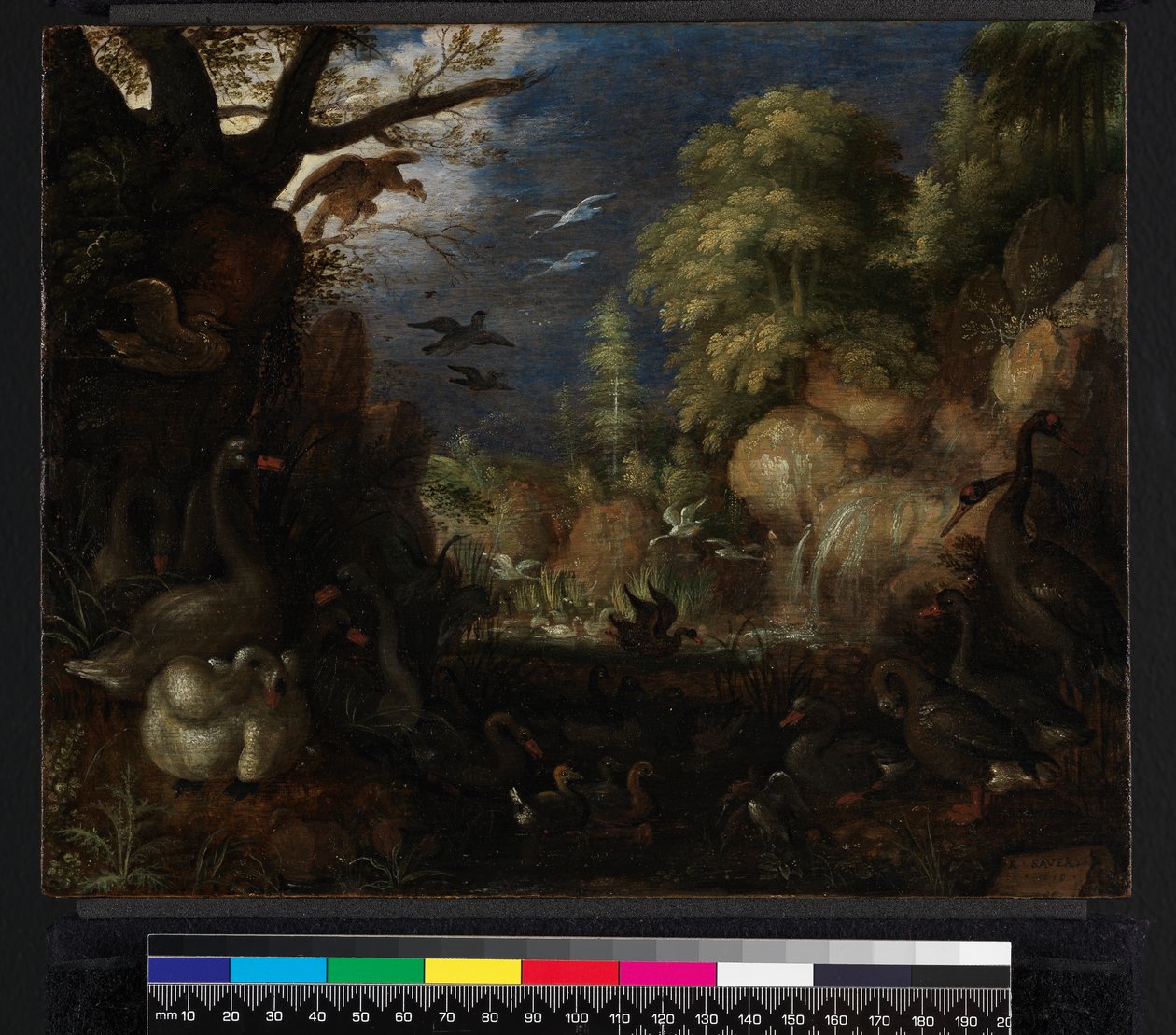 A madarak teremtése, 1619 alkotó: Roelandt Jacobsz. Savery