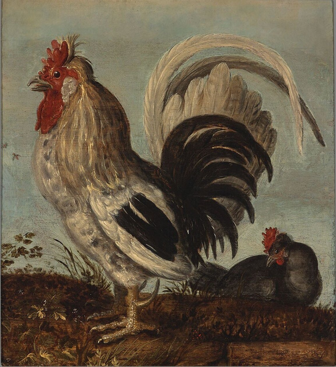 egy kakas alkotó: Roelandt Jacobsz. Savery