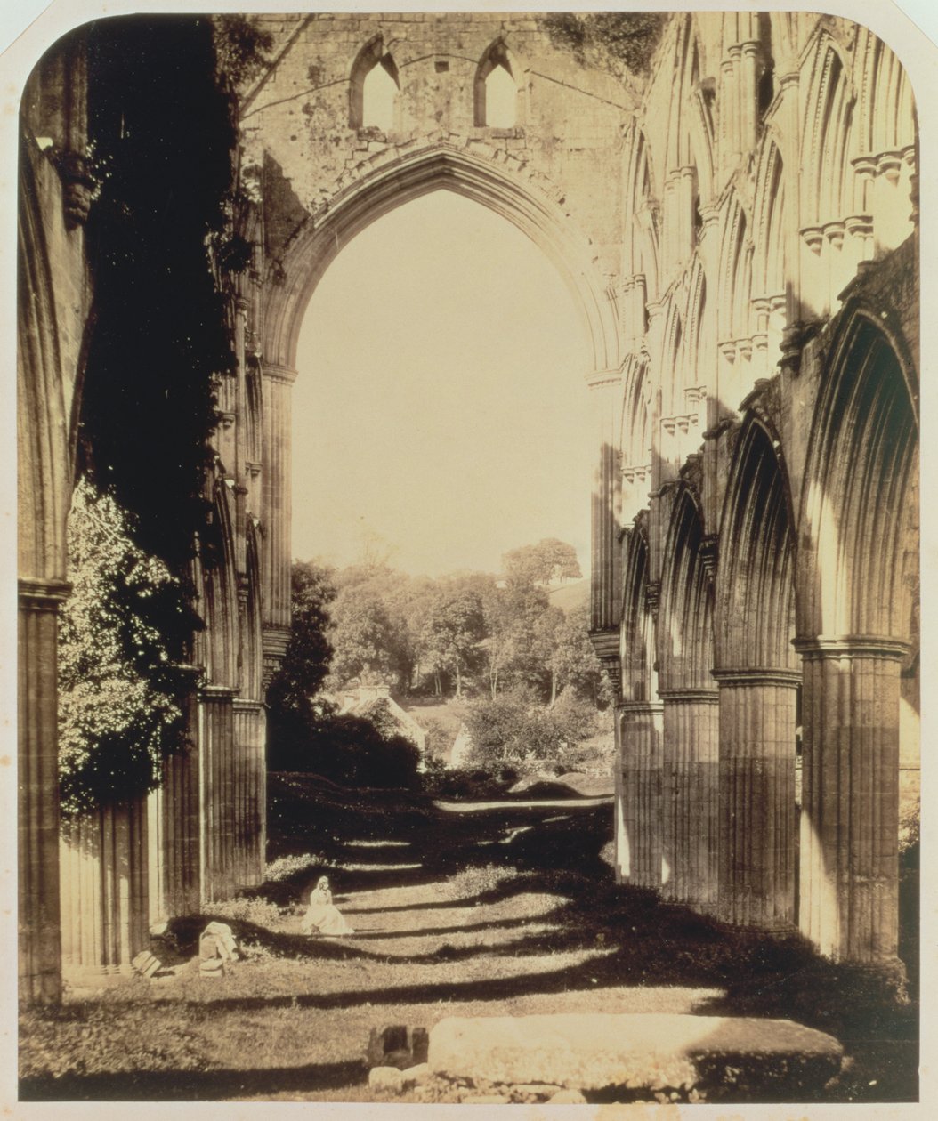 Rievaulx Abbey, North Yorkshire, 1854 (szépia fotó) alkotó: Roger Fenton