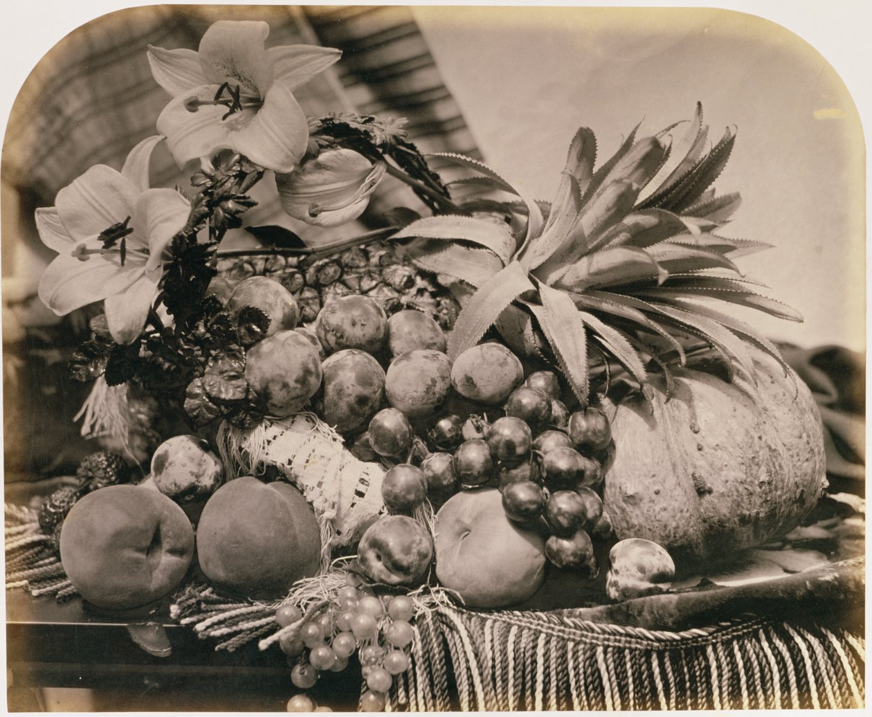 Csendélet gyümölccsel, 1860 (szépia fotó) alkotó: Roger Fenton