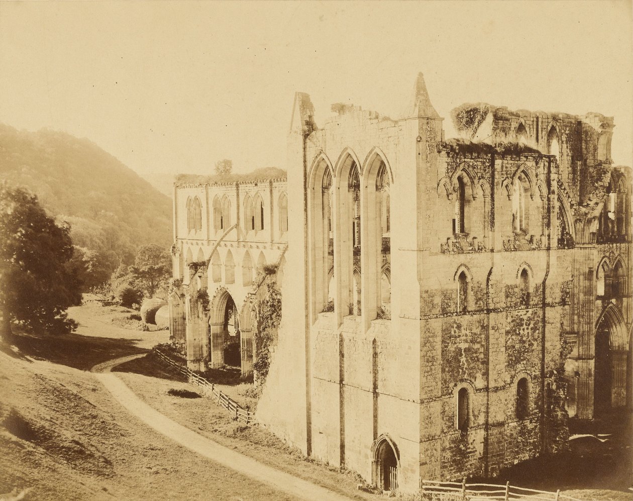 Rievaulx apátság alkotó: Roger Fenton