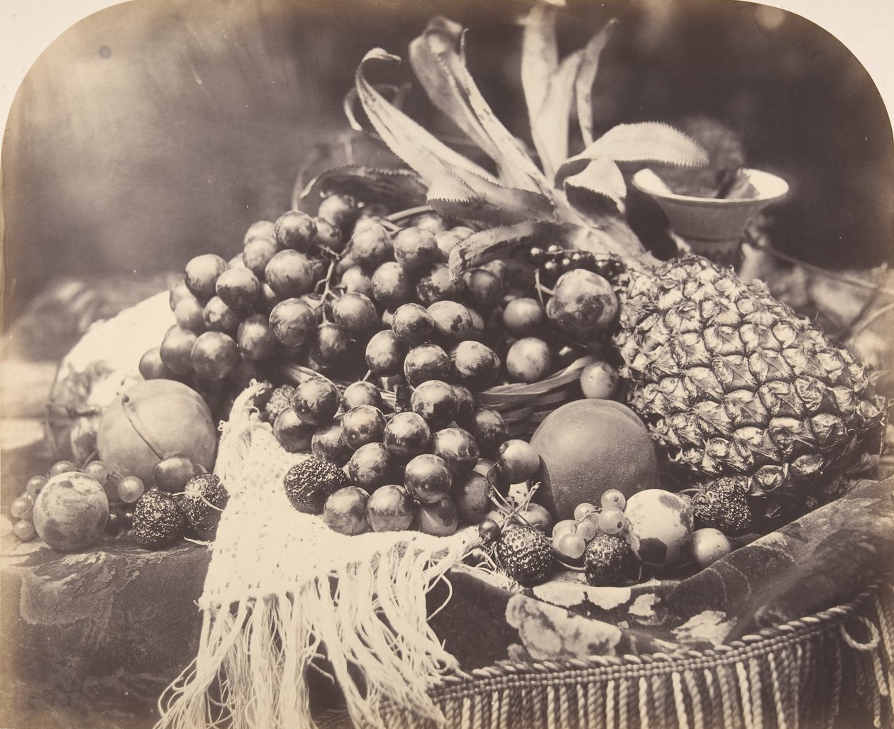 Csendélet gyümölccsel, 1860. alkotó: Roger Fenton