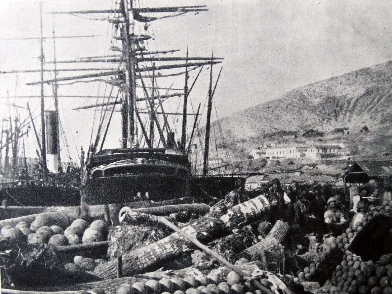 Az Ordnance Wharf, Balaclava alkotó: Roger Fenton