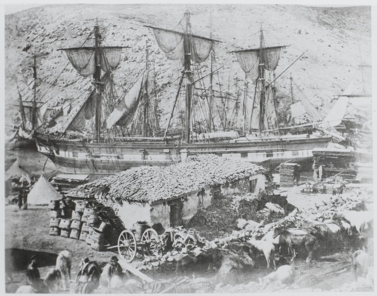 – A szarvasmarha-móló Balaklava kikötőjében alkotó: Roger Fenton
