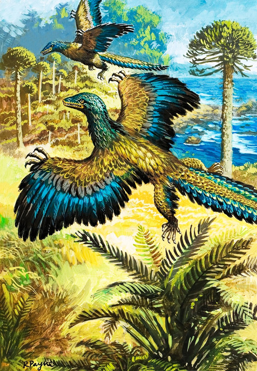 Archaeopreryx alkotó: Roger Payne