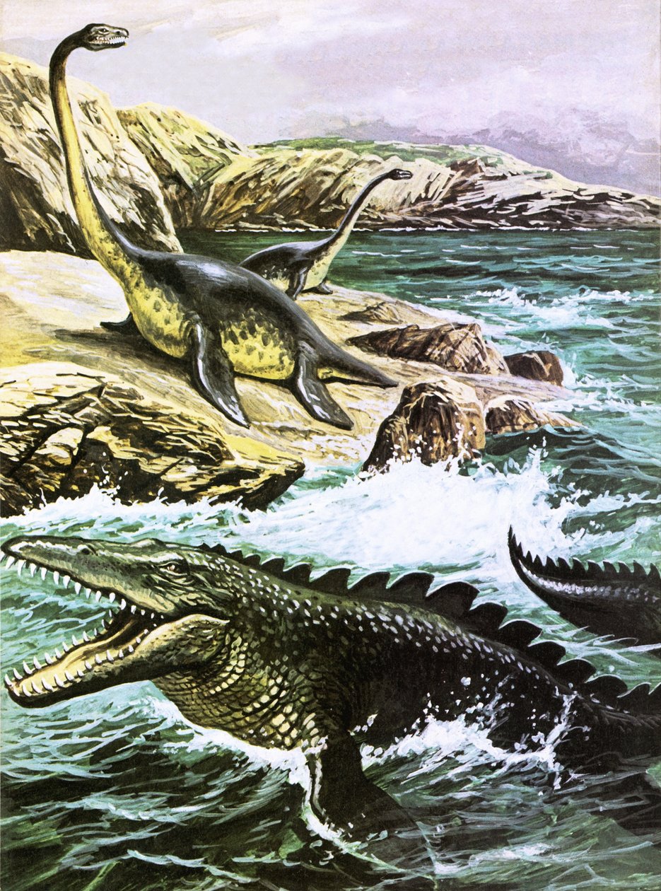 Plesiosaurus (fent) és Tylosaurus (lent) alkotó: Roger Payne