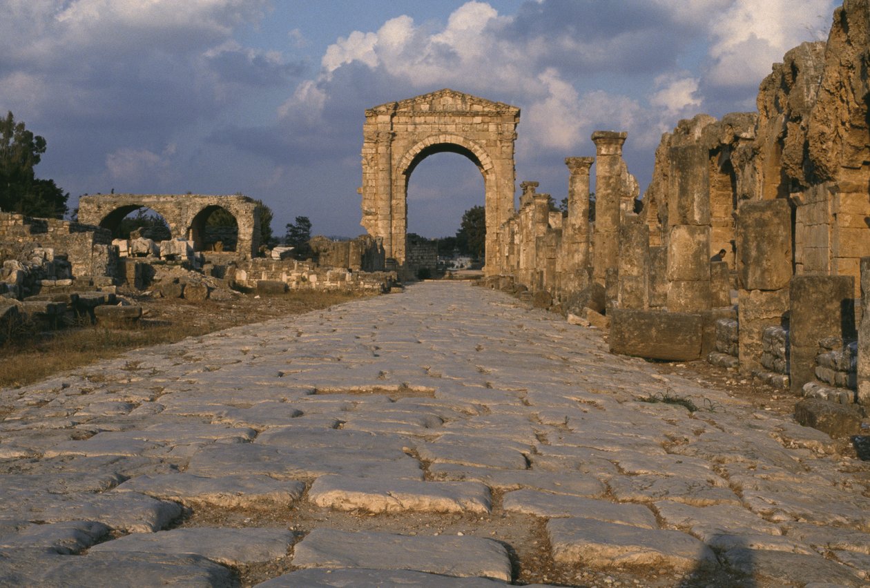 Diadalív alkotó: Roman