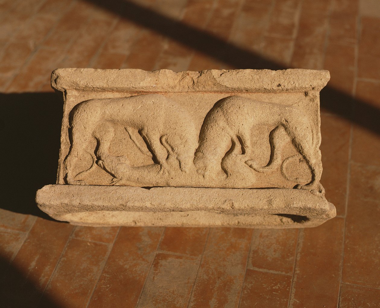 Arula alkotó: Roman