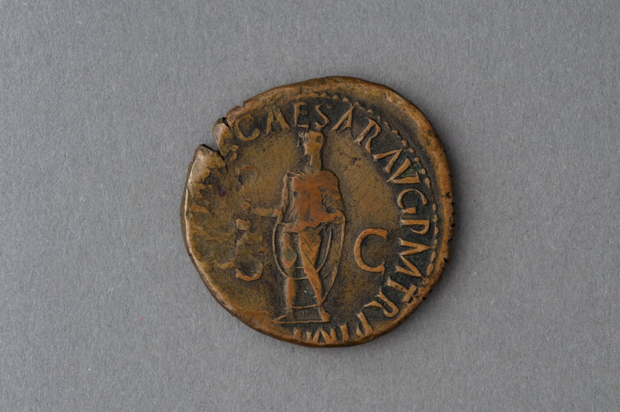 Antonia érméjeként (bronz) alkotó: Roman