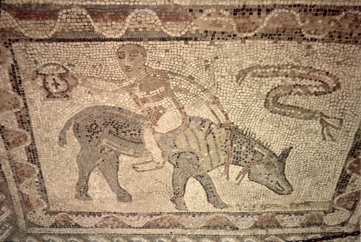 Sportoló, aki trófeát kap a Desultor Race megnyerése után, egy ház padlójáról (mozaik) alkotó: Roman