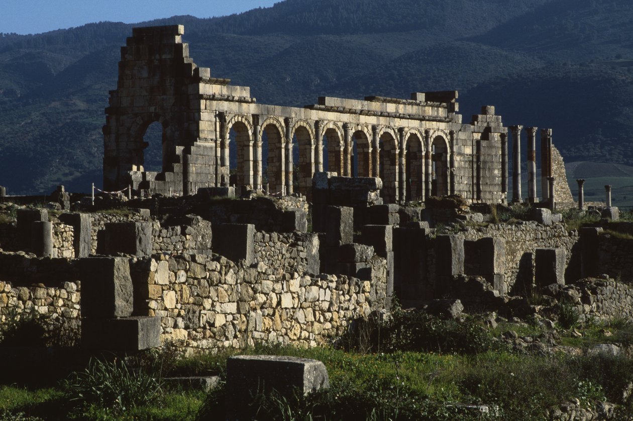 Bazilika, Kr. u. 217 alkotó: Roman