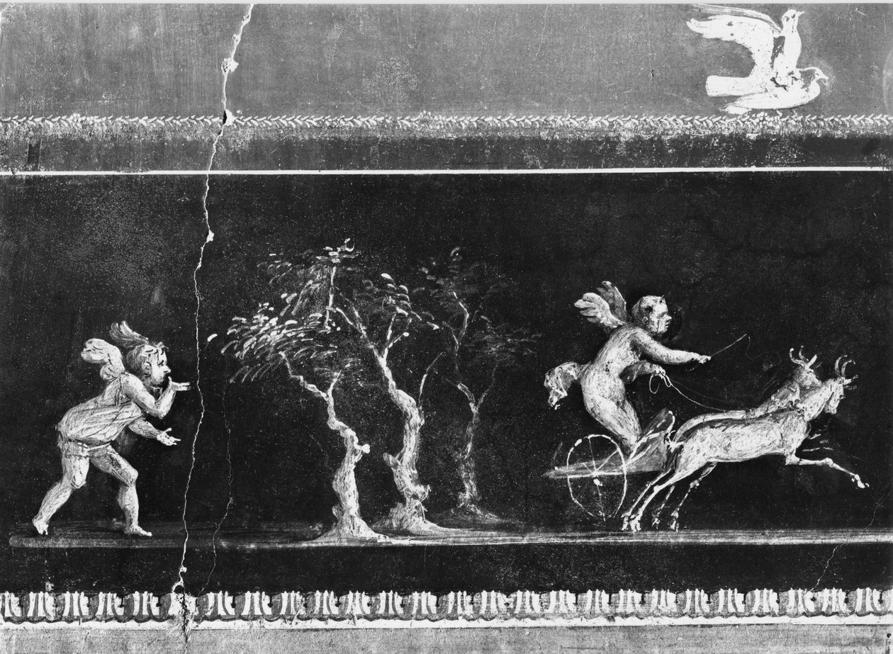Kerubok kocsiversenyen, fríz a Casa dei Vettii (Vettii Ház) Oecusából, i.sz. 50-79 körül (lásd még: 215431) alkotó: Roman