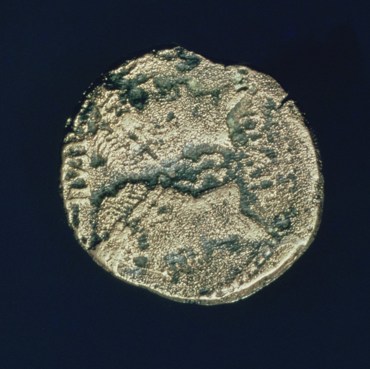 Érme Julius Caesar (i.e. 101-44) és Augustus (i.e. 63-14) fejével (bronz) alkotó: Roman