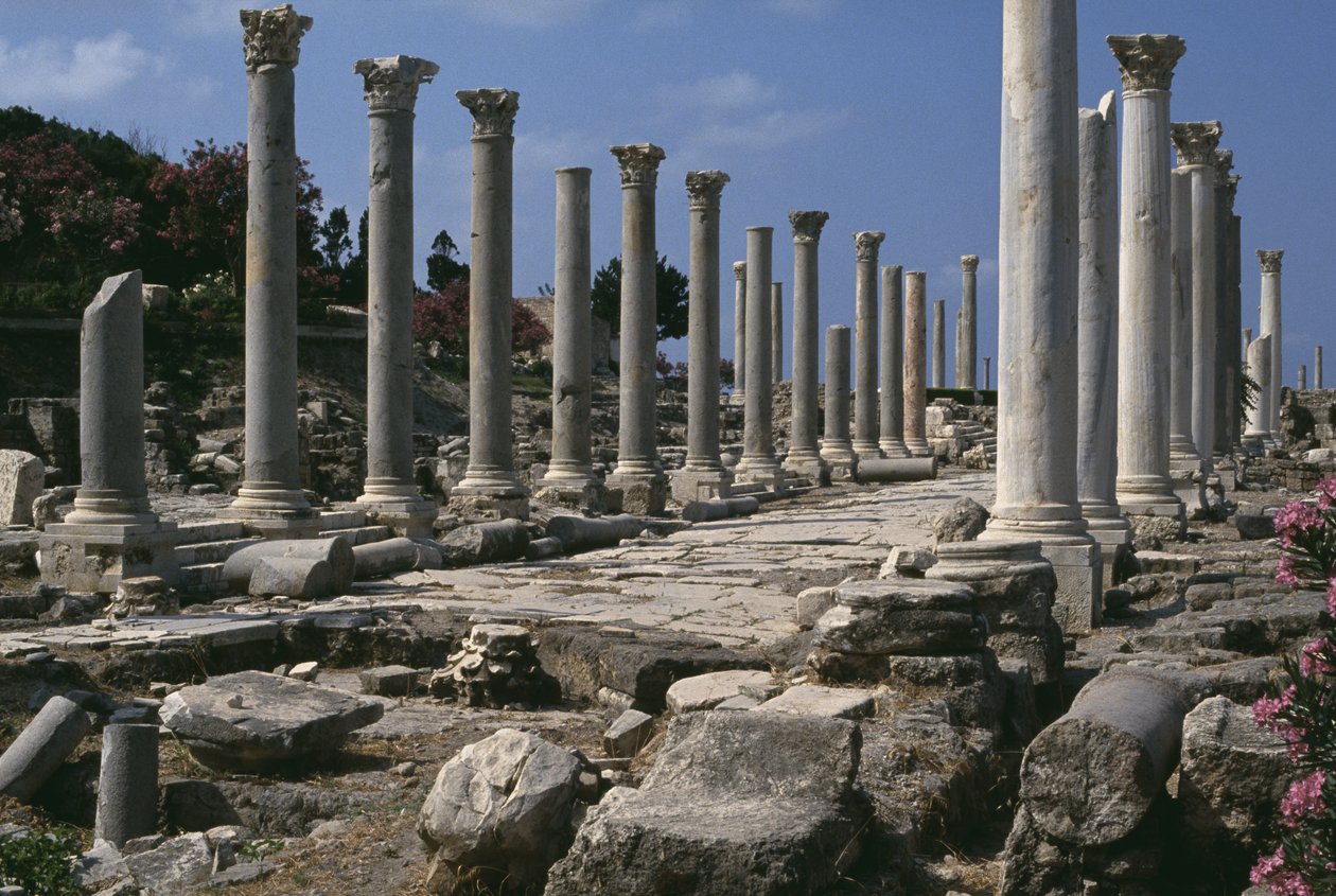 Oszlopsor alkotó: Roman