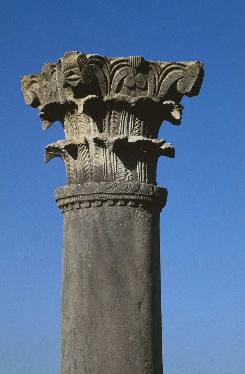 Korinthoszi stílusú főváros alkotó: Roman