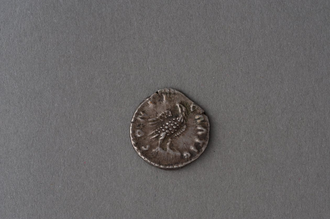 Antoninus Pius dénárja (ezüst) alkotó: Roman