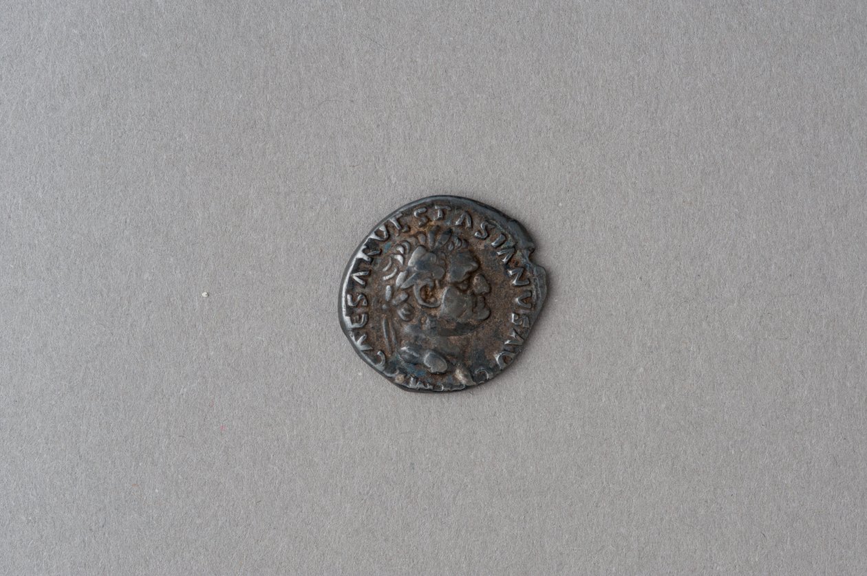 Vespasianus Dénárja (ezüst) alkotó: Roman