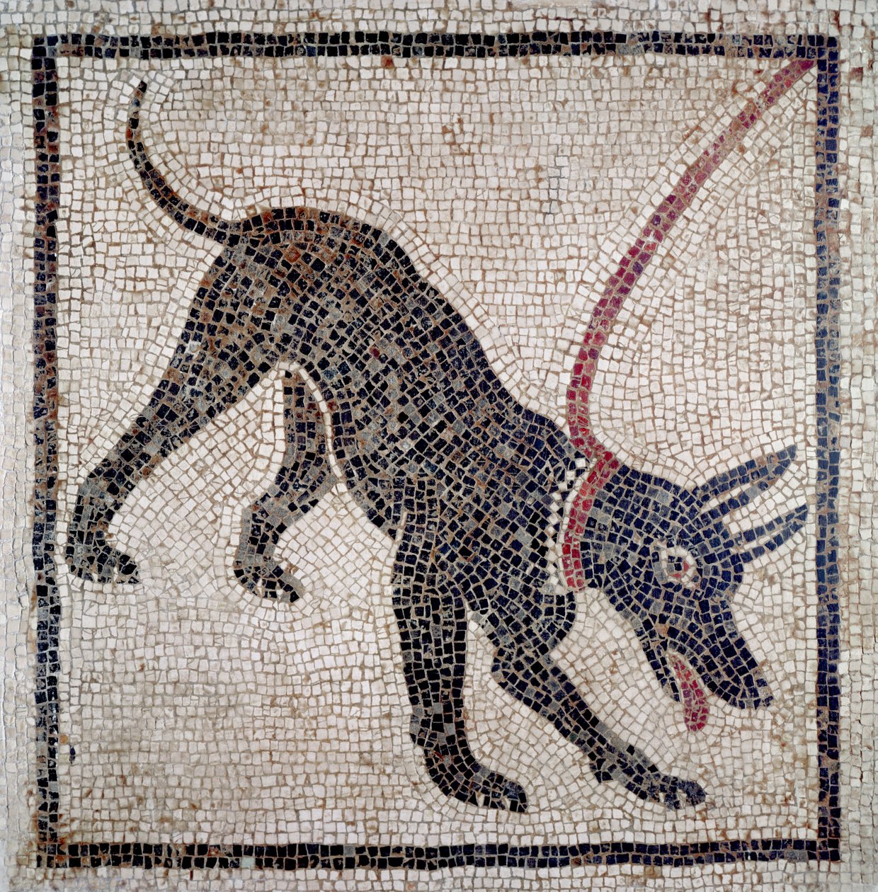 Kutya pórázon, Pompejiből (mozaik) alkotó: Roman