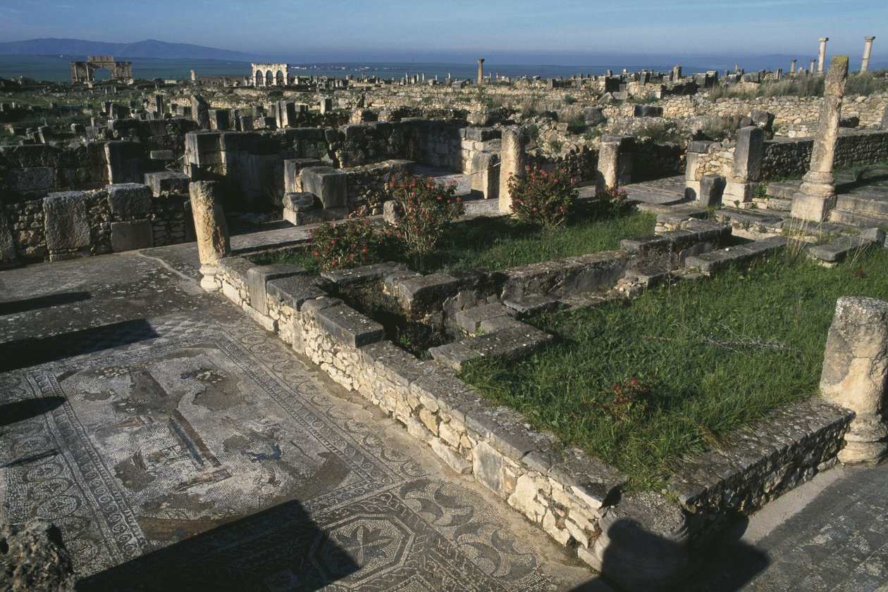 Általános nézet alkotó: Roman