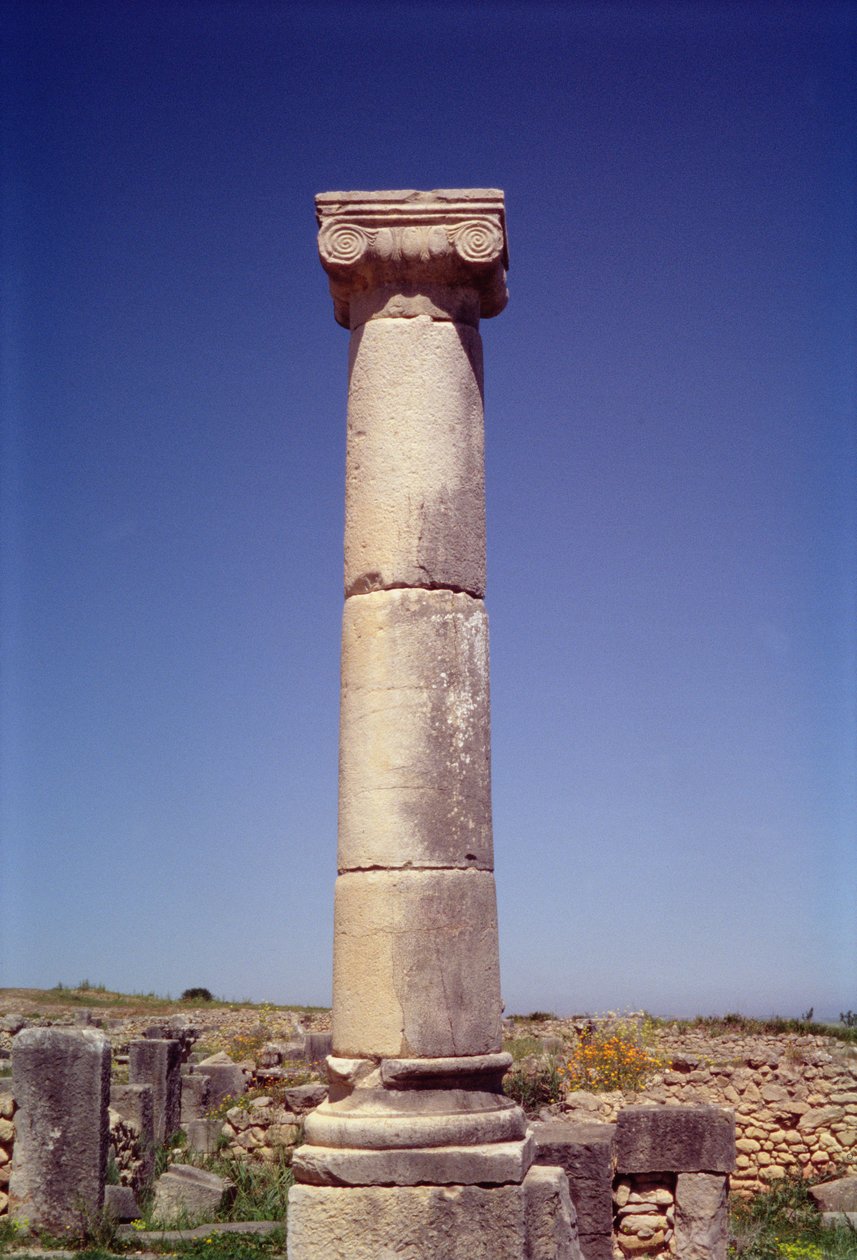 Ionoszlop a Decumanus Maximuson alkotó: Roman