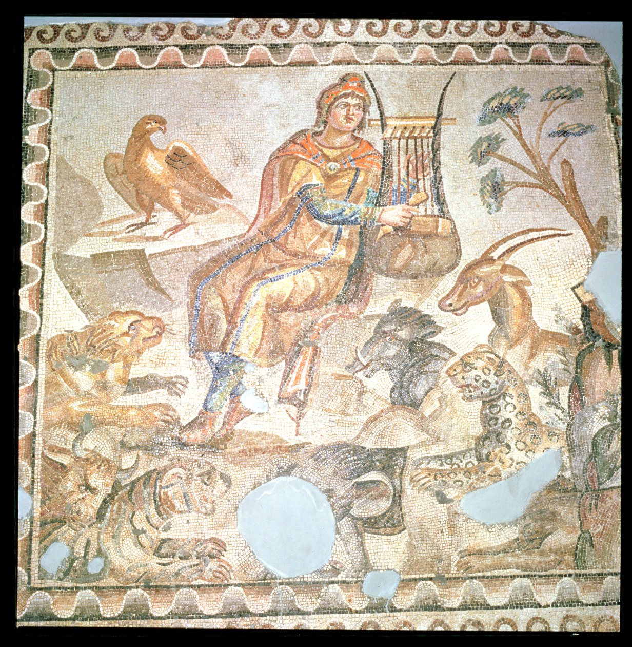 Orpheus játszik az állatoknak, római mozaik (mozaik) alkotó: Roman