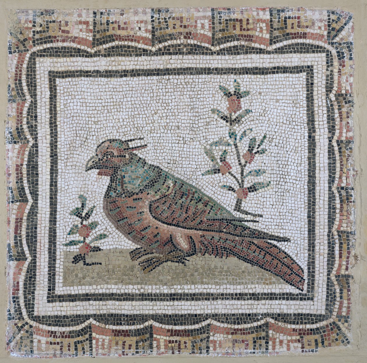 Fácánt ábrázoló járda (mozaik) alkotó: Roman