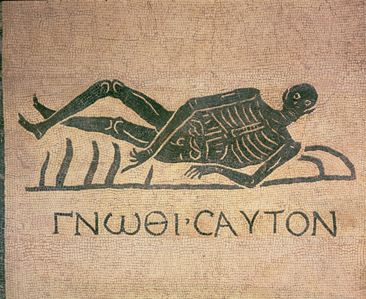 Fekvő csontváz "Ismerd meg önmagad" felirattal (mozaik) alkotó: Roman