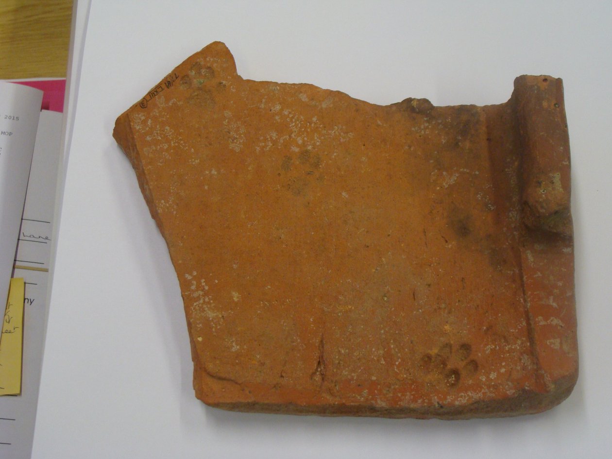római csempe macska lábnyommal (cserép) alkotó: Roman