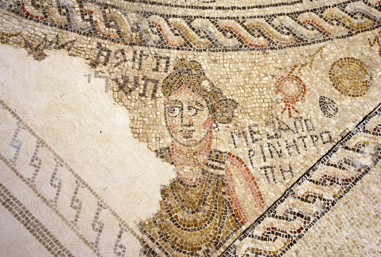 Sepphoris mozaik, Tzippori (mozaik) alkotó: Roman