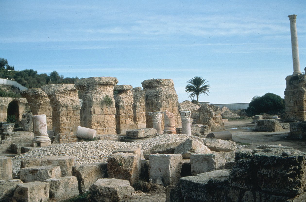 Kilátás a romokra alkotó: Roman