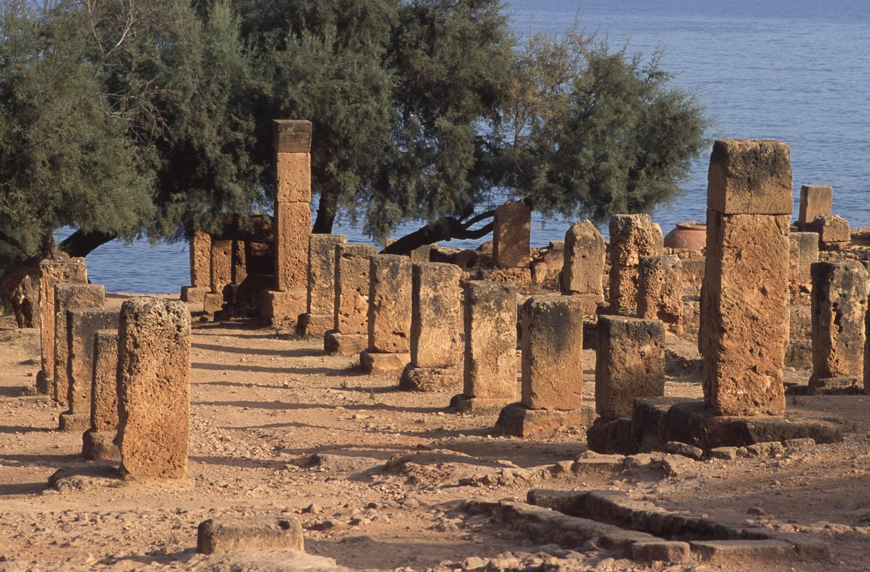 A Cardo kilátása alkotó: Roman