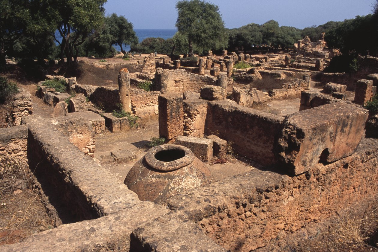 Az oldal megtekintése alkotó: Roman