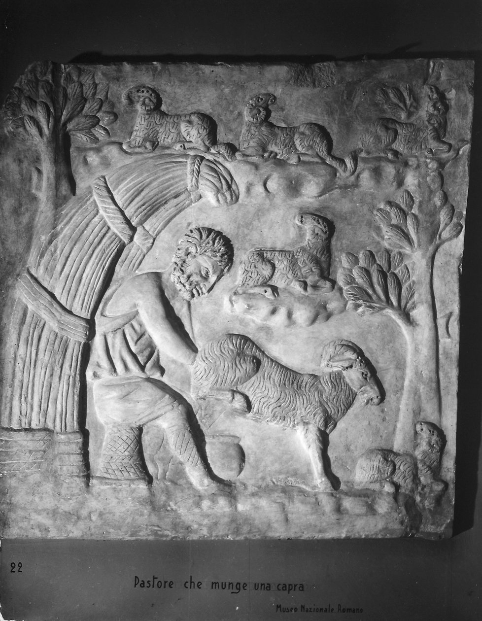 Kecskefejő juhász, szarkofág részlet alkotó: Roman Roman
