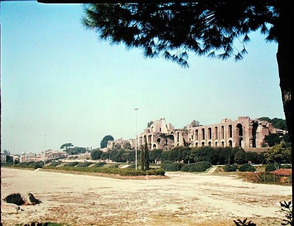 Kilátás a Circus Maximusra alkotó: Roman Roman