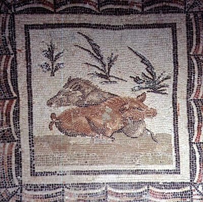 Vaddisznó (mozaik) alkotó: Roman Roman